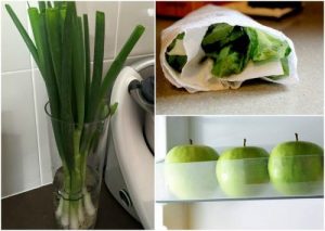 九種延長食物保鮮的妙招