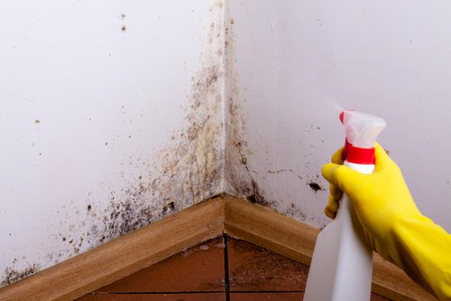 如何清理牆壁和天花板上的潮濕污漬？