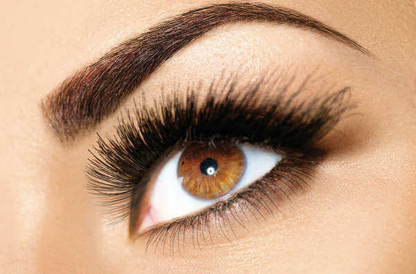 凡士林 眉毛與睫毛