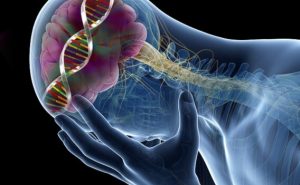 缺乏血清素的九種驚人影響