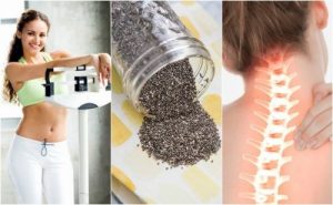 奇亞籽的10大好處