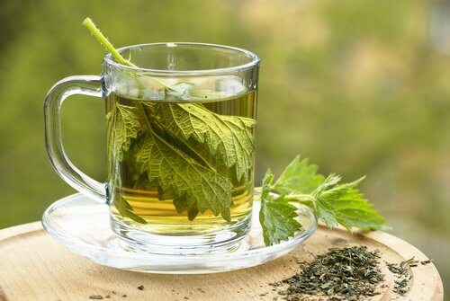 蕁麻茶
