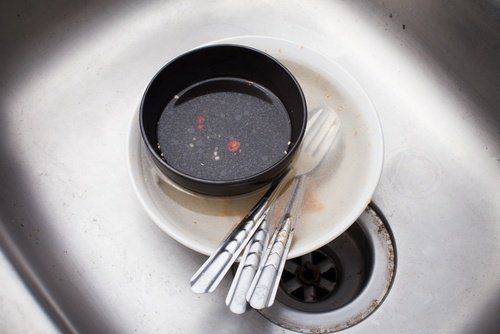 食物殘渣