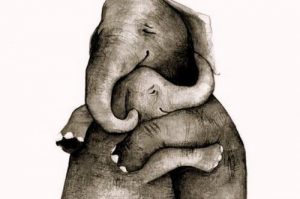 擁抱一切你發現的美好事物並保存起來