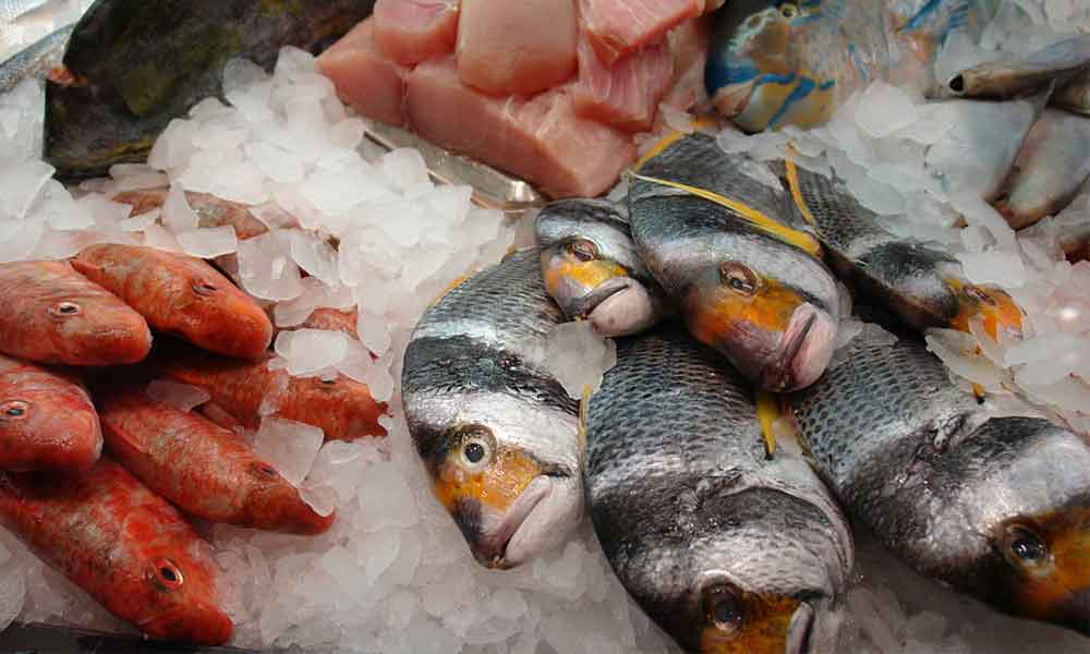 汞污染的魚