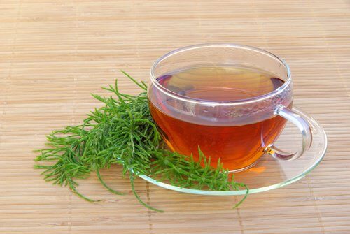 馬尾草茶