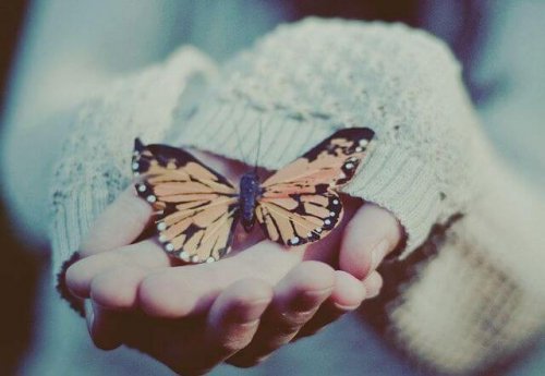手與蝴蝶