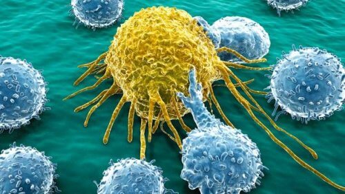 可治療卵巢癌和胰腺癌的創新分子