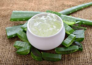 居家植物推薦:蘆薈的5種用途