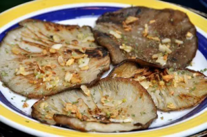 利用蠔菇自然強化免疫系統