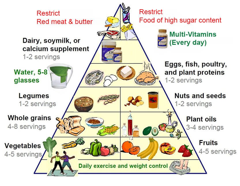 了解新飲食金字塔可以活得更健康 Step to Health