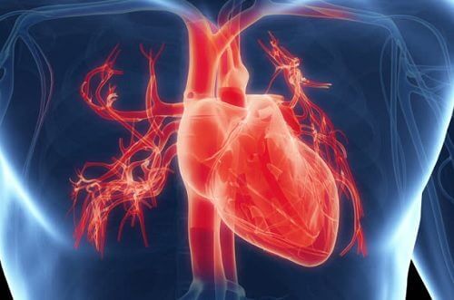 心臟運作不正常的七種指標症狀