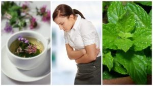 用這五種療癒藥草緩解腸躁症症狀