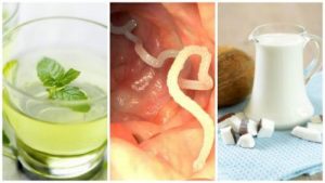 腸道寄生蟲的５種居家療法