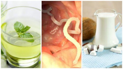 腸道寄生蟲的５種居家療法