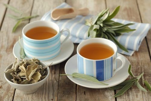 鼠尾草茶