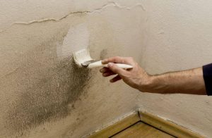 5種去除家中濕氣的方法