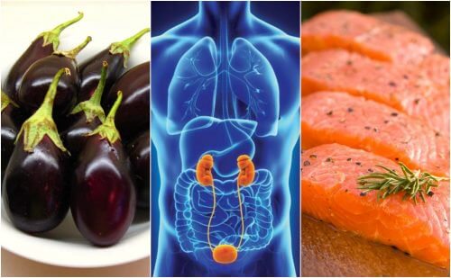 7種促進腎臟健康的食物