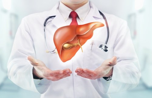 淨化肝臟和大腸