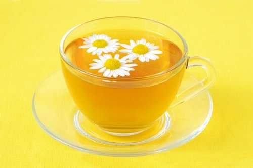洋甘菊