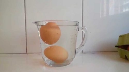 雞蛋