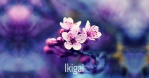 七個促進個人成長的美麗日本詞語