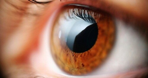 不須手術即可改善視力的天然六招