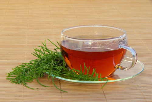 馬尾草茶