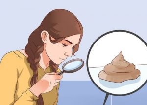 糞便的形狀和顏色能說明你的健康狀況