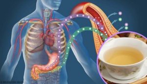 四種降血糖茶飲