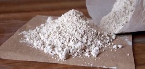 如何用矽藻土防治跳蚤