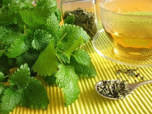 檸檬香蜂草