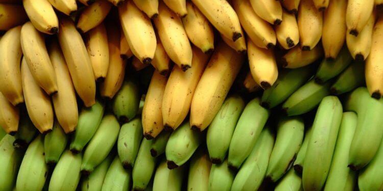 香蕉與芭蕉的三種營養差異
