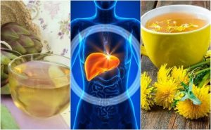 五種對抗脂肪肝的花茶