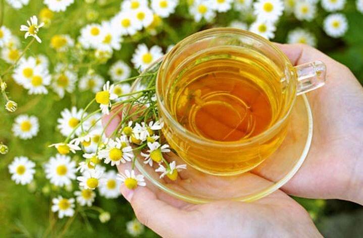 洋甘菊茶