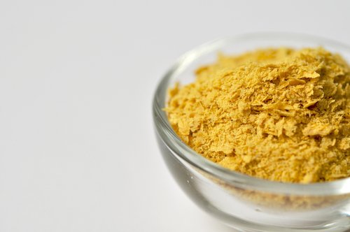 營養酵母