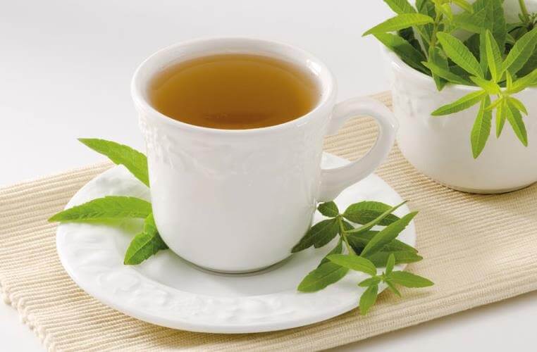 馬鞭草茶
