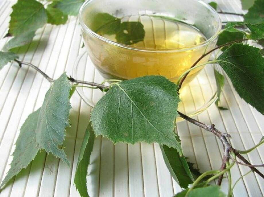 樺木茶