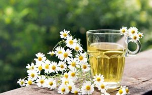 簡單、有效、天然的洋甘菊療方
