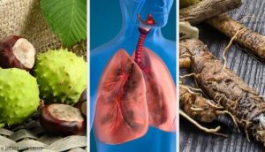試試這4種讓你呼吸更順暢並強化肺臟的居家療法