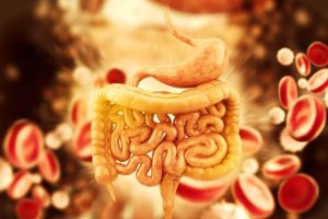 如何泡5種幫結腸排毒的茶