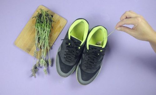 薰衣草與鞋子