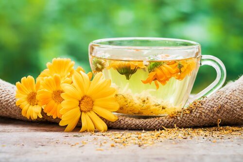 金盞菊茶