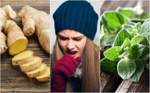 5種植物療法幫你擺脫痰的困擾