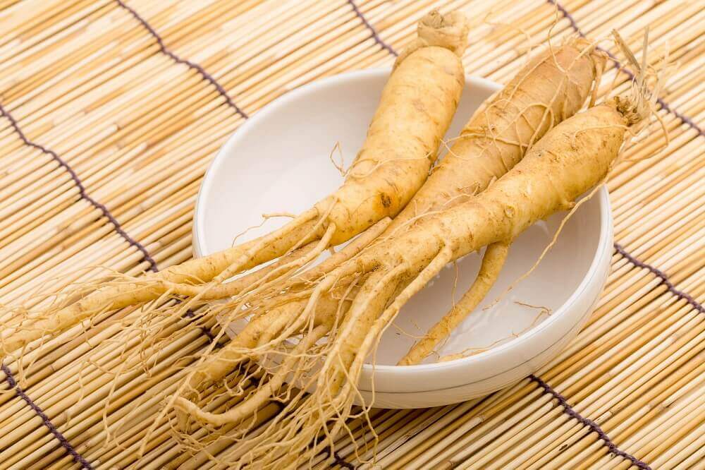 人蔘