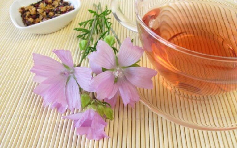 熱茶