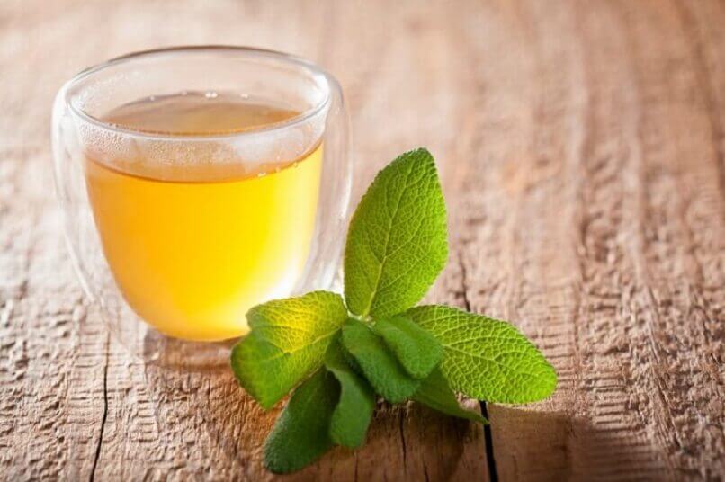 鼠尾草茶
