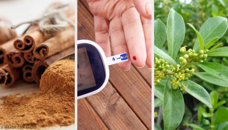 糖尿病的5種藥用植物：它們真的有效！