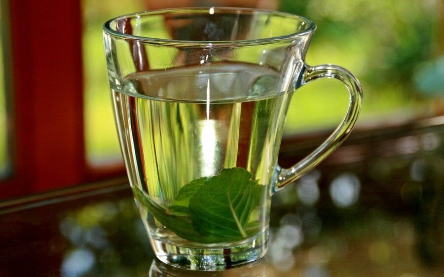 羅勒茶