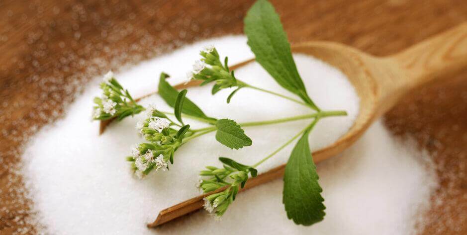 甜葉菊